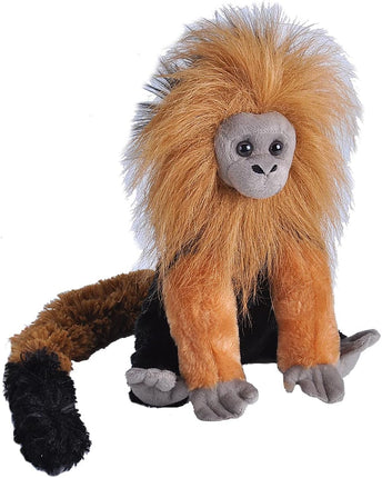 CK Golden Lion Tamarin 12"