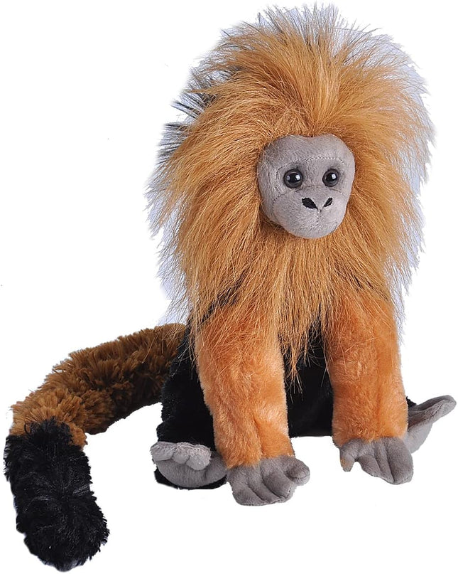 CK Golden Lion Tamarin 12"