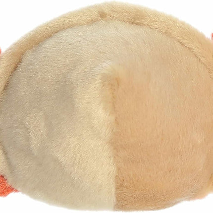 PALM Tide Hermit Crab 5"