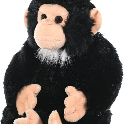 CK Chimpanzee 12"