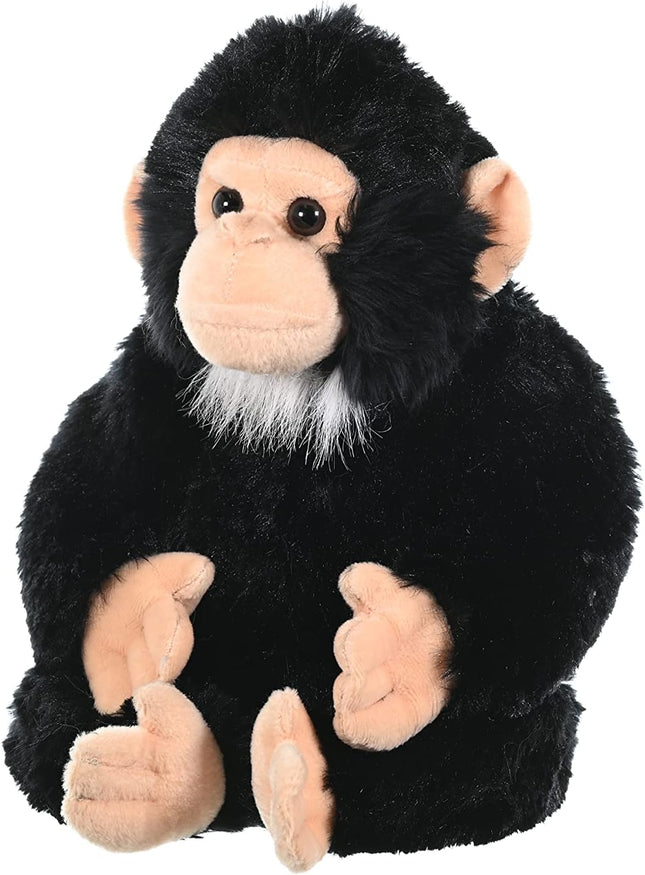 CK Chimpanzee 12"