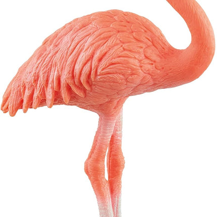 WILD Flamingo