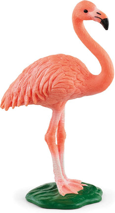 WILD Flamingo