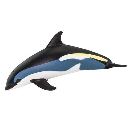 WSS Atlantic White-Sided Dolphin