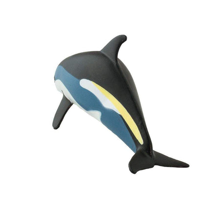 WSS Atlantic White-Sided Dolphin