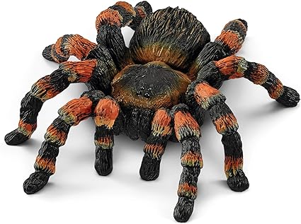 WILD Tarantula