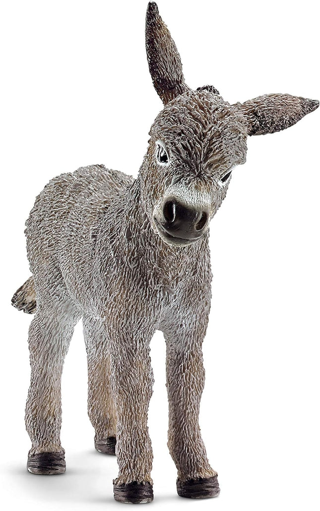 FARM Donkey Foal