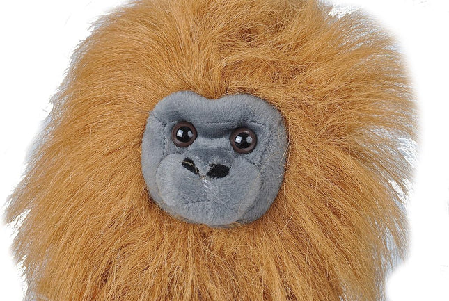 CK Golden Lion Tamarin 12"