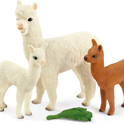 WILD BOX Alpaca Set