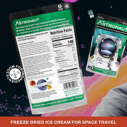 Astronaut Mint Choc Chip IC Sandwich