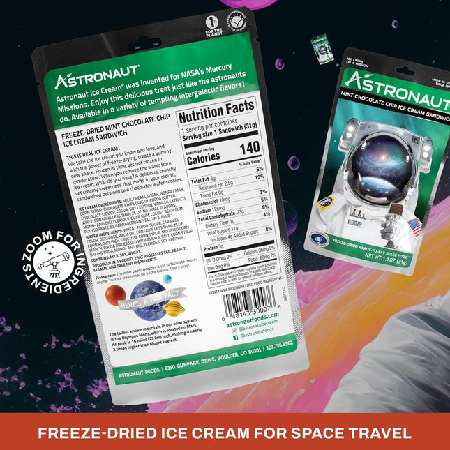 Astronaut Mint Choc Chip IC Sandwich