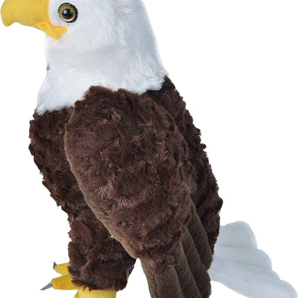 CK Bald Eagle 12"