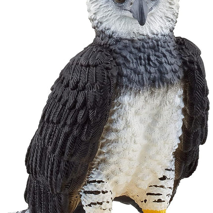 WILD Harpy Eagle