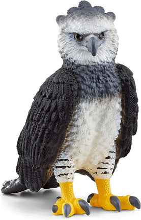 WILD Harpy Eagle