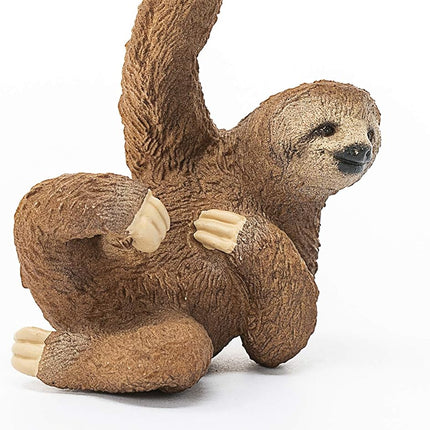 WILD Sloth