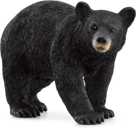 WILD American Black Bear