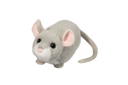 Cheddar MOUSE