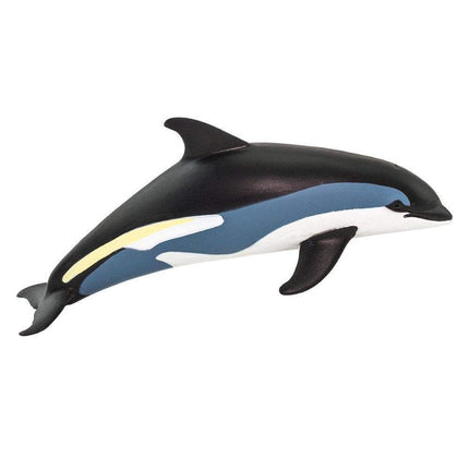 WSS Atlantic White-Sided Dolphin