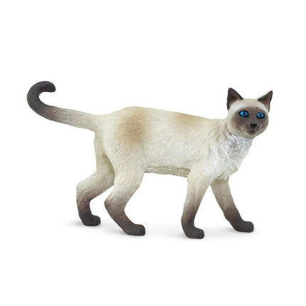 WSP Siamese Cat