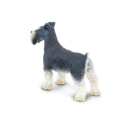 WSP Schnauzer