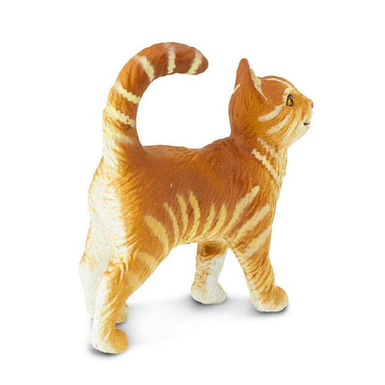 WSP Tabby Cat (Orange)