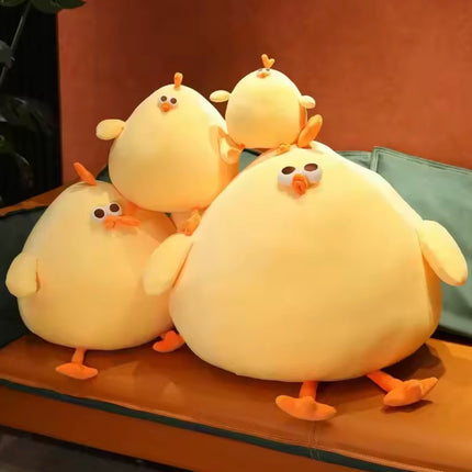 Funny Fat Chicken