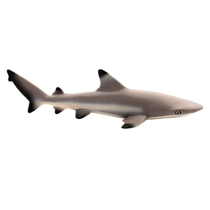 WSS Blacktip Reef Shark