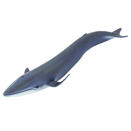 WSS Blue Whale