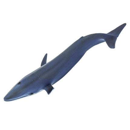 WSS Blue Whale