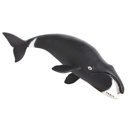 WSS Bowhead Whale