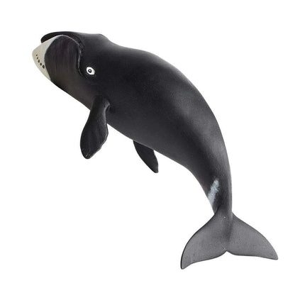 WSS Bowhead Whale