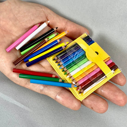 Mini Color Pencils in Pouch