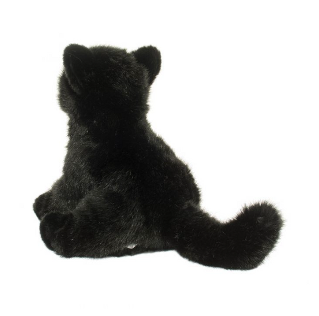 Salem Black Cat 12"