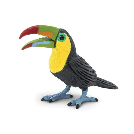 WSB Toucan Bird