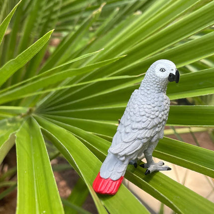 WSB African Grey Parrot