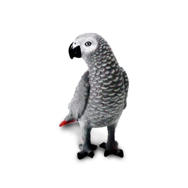 WSB African Grey Parrot