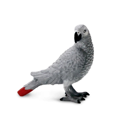 WSB African Grey Parrot