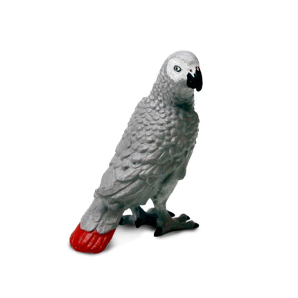 WSB African Grey Parrot