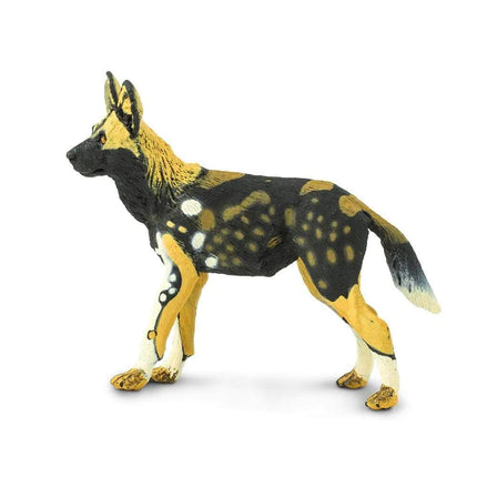 WSW African Wild Dog