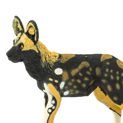 WSW African Wild Dog