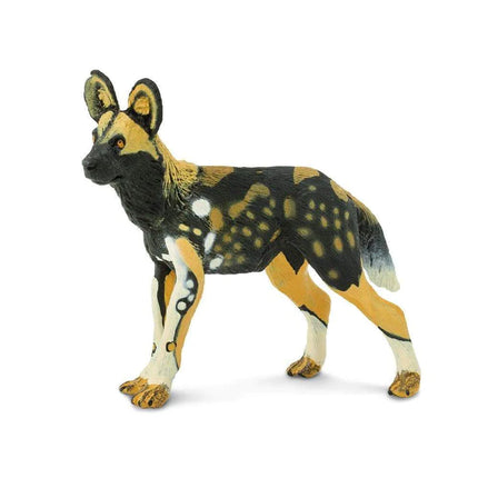 WSW African Wild Dog