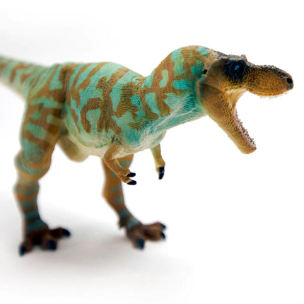 WSD Albertosaurus