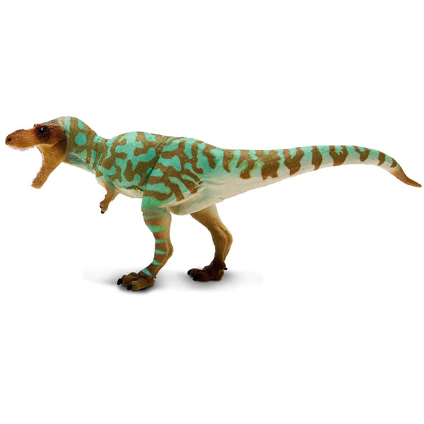 WSD Albertosaurus