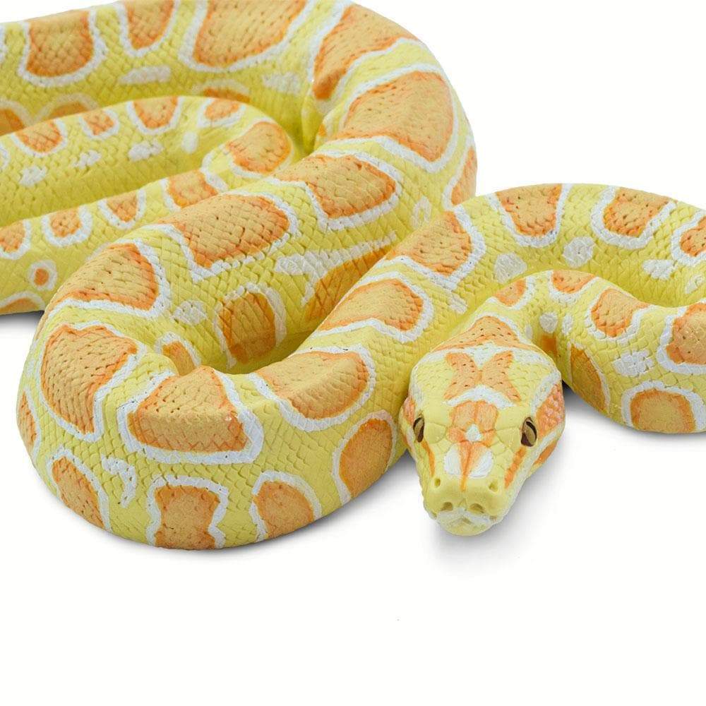 IC Albino Burmese Python – The Zoo Company Toy Store