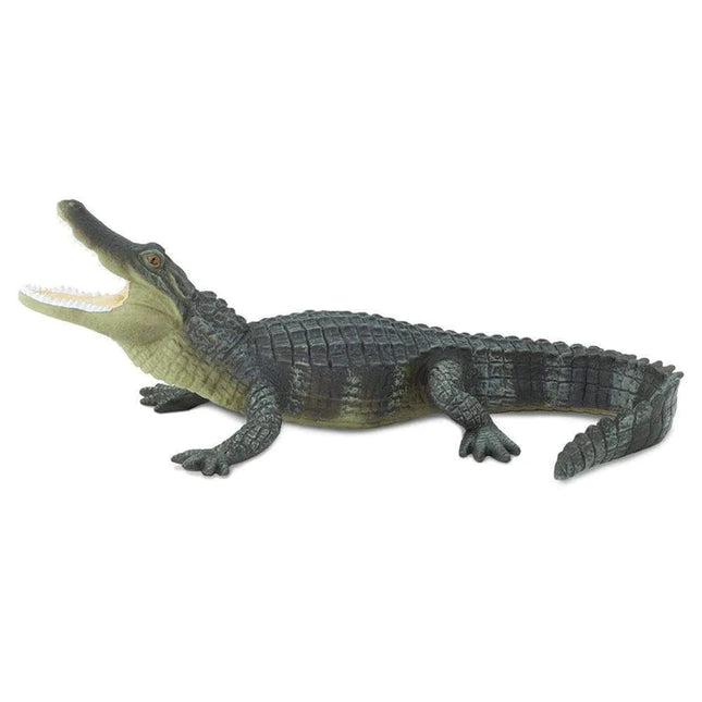 WSW Alligator