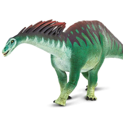 WSD Amargasaurus