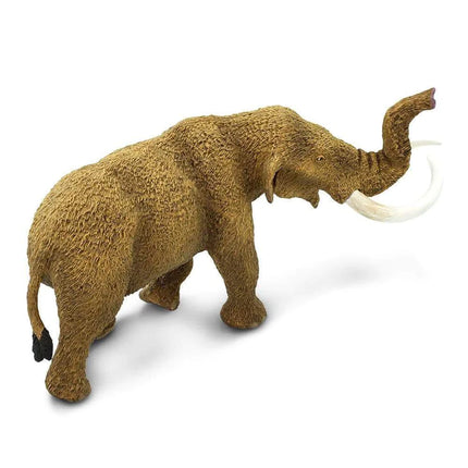 WSD American Mastodon