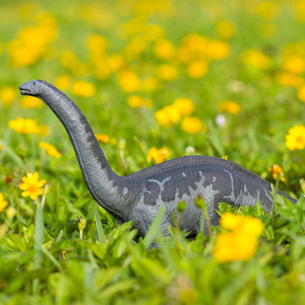 GD Apatosaurus