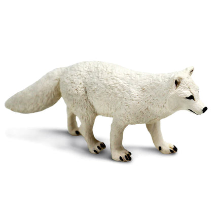 WSW Arctic Fox