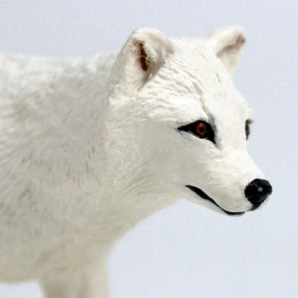 WSW Arctic Fox